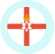 icon of northern ireland flag