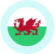 icon of welsh flag